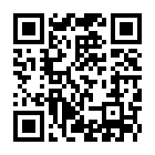 同城佳人app安卓版